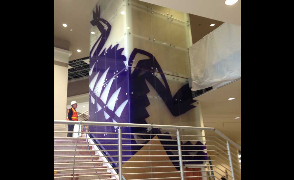 Beware of the Horned Frogs