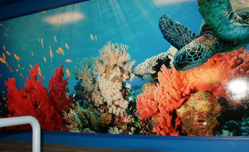 What Lies Under the Sea?